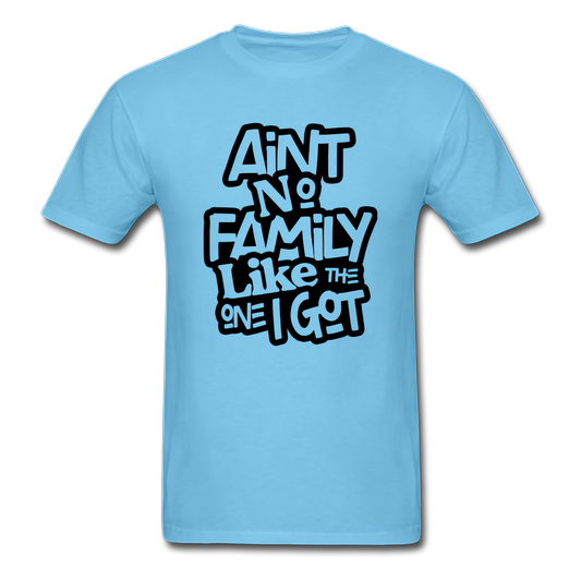 Ain't No Family Family T-Shirt